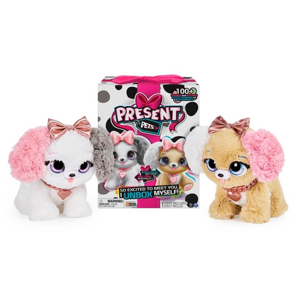 Present Evcil Hayvanlar Sürpriz Köpekcik Pembe 6051197 Spin Master SPN 6051197