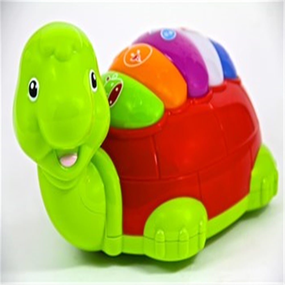 Vardem Çarpgeç Renkli̇ Kaplumbağa