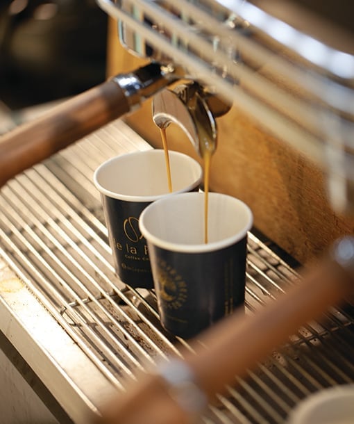 Kahve Sektöründe Başarı İçin Hangi Ekipmanlar Gerekli