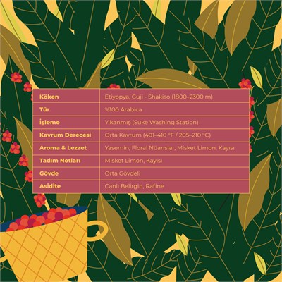 De La Pau Ethiopia Shakiso Grade1 Premium Seri Çekirdek Kahve 70 gr