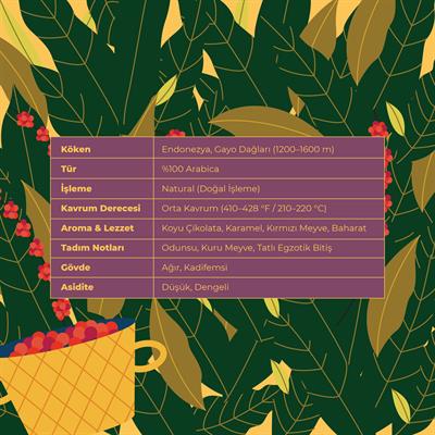 De La Pau Sumatra Mandheling Gayo Ultra Premium Series Natural Whole Bean Coffee 70 g