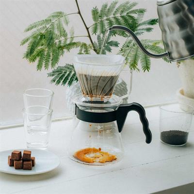 Hario Pegasus 02 Dripper (Şeffaf Plastik)