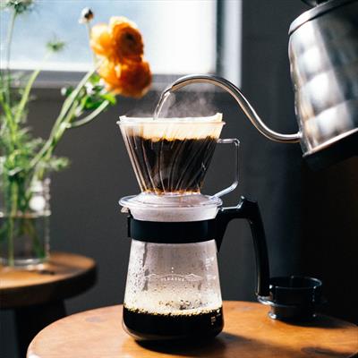 Hario Pegasus 03 Dripper (Şeffaf Plastik)