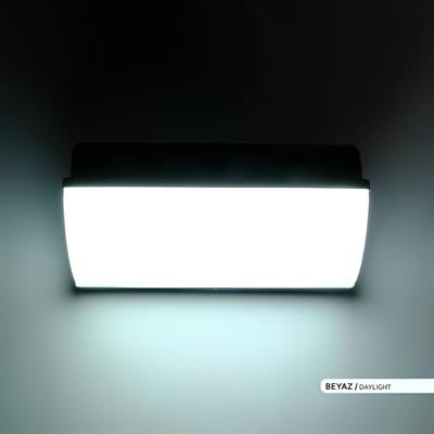 Ack 26 cm Led Duvar Armatürü Siyah Kasa Beyaz Işık AH07-06430