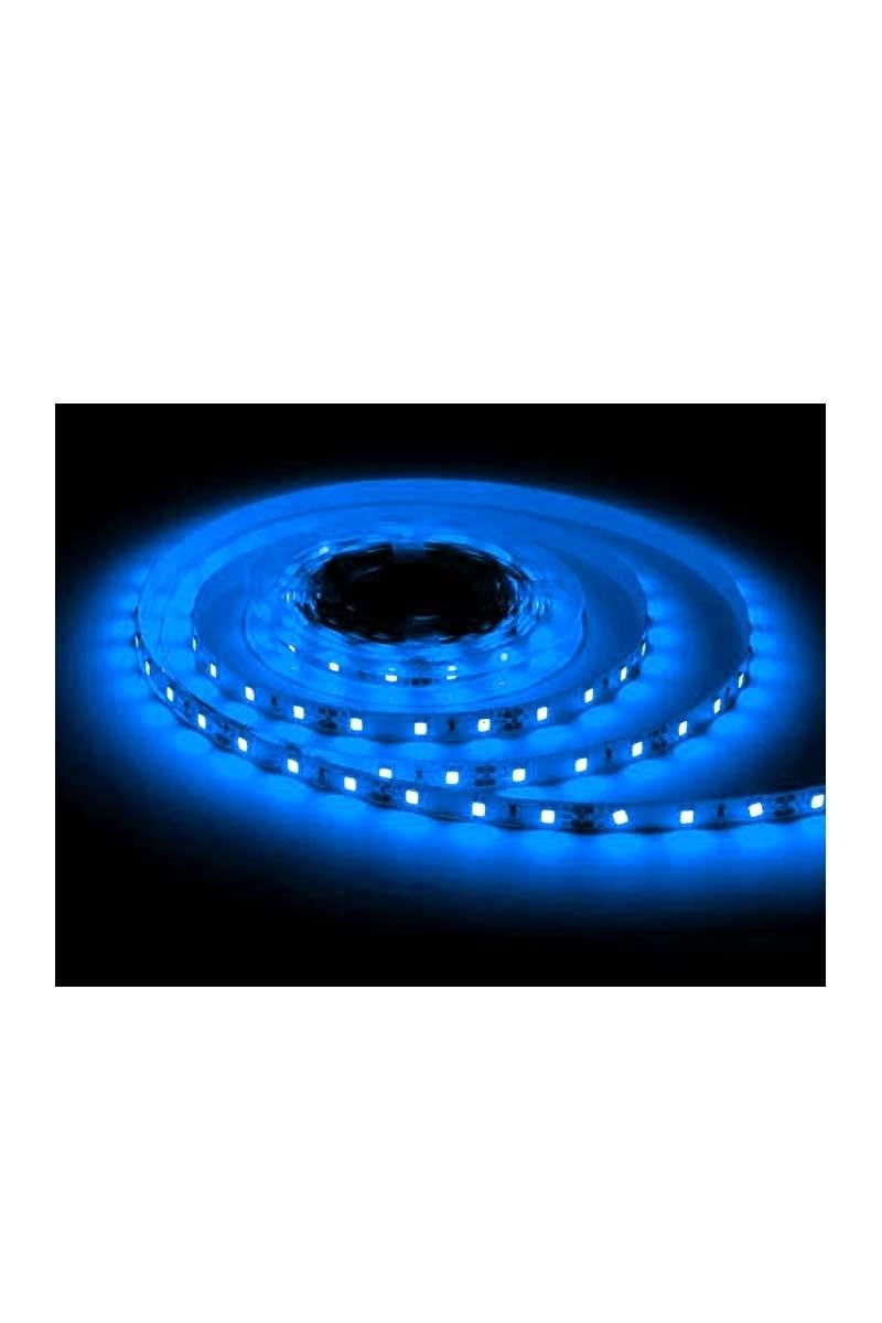Ack 120 Led'li Şerit Led Mavi Işık AS01-02506