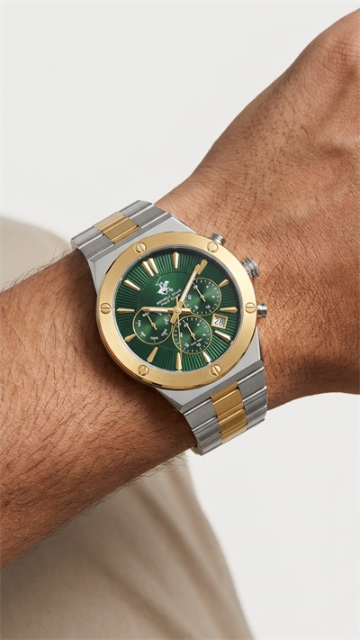 BEVERLY HILLS POLO CLUB - BP3871X.270 erkek kol saati