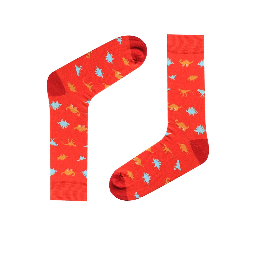 ÇorapCMC1535Dinozor Desenli Çorap