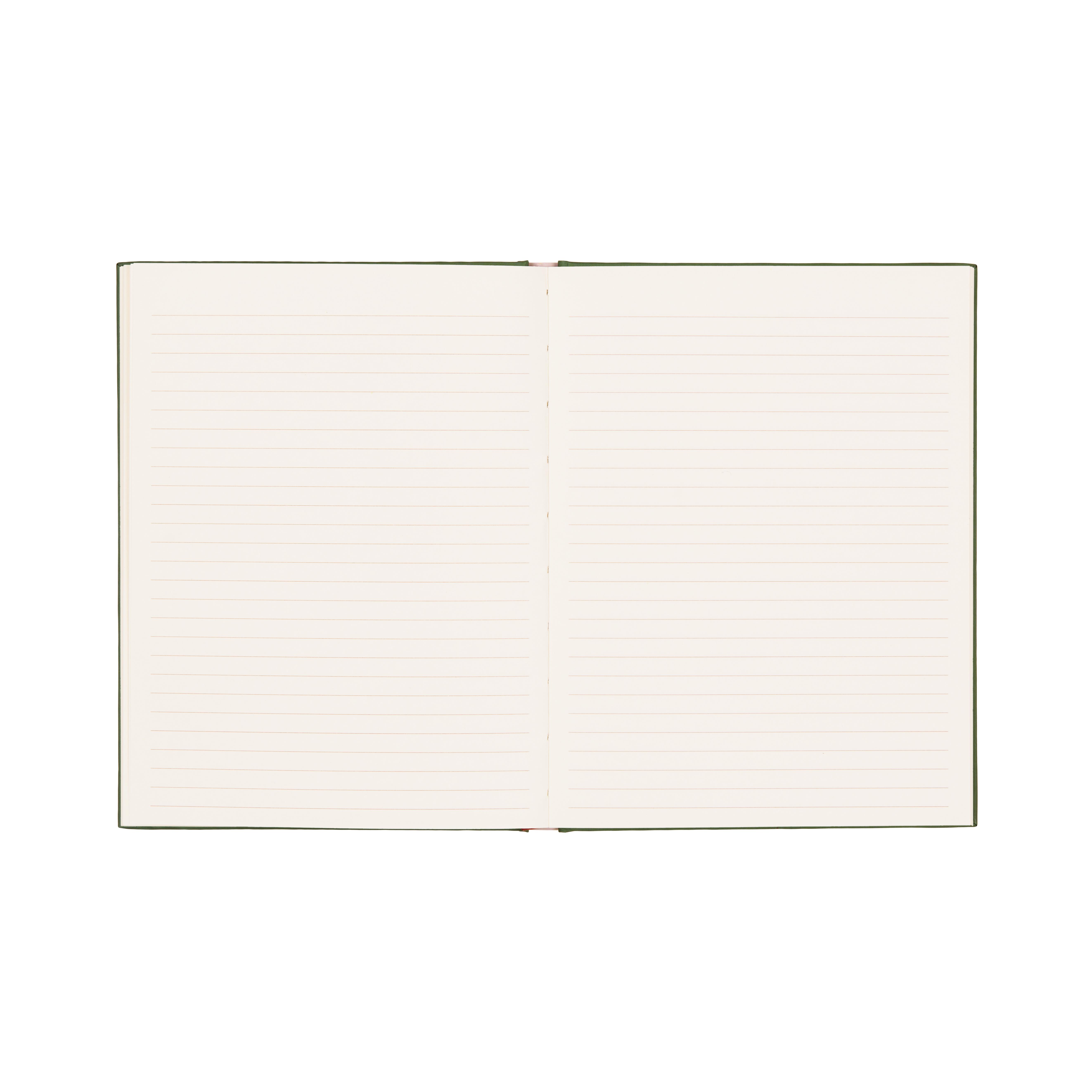A DOPO DEFTER TAVUS KUŞU