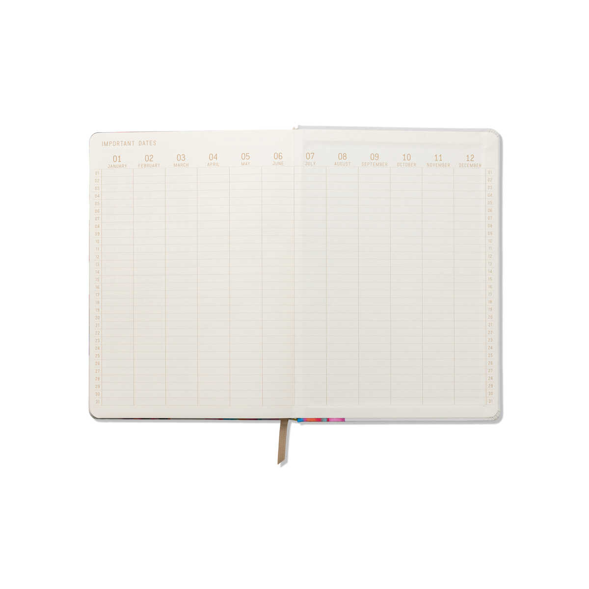 JUMBO BOY DEFTER - LOVE IS LOVE