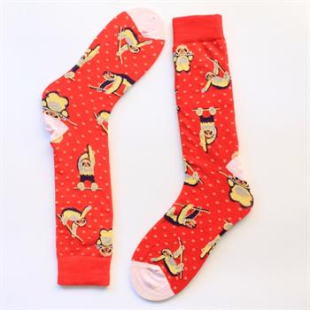 4lü Tembel Hayvan Desenli Çorap Hediye Seti