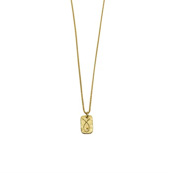 Gold Balık Gümüş Kolye 