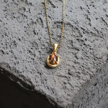 Kaplan Gözü Doğal Taşlı Gümüş Kolye