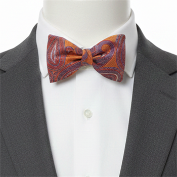 Şal Desenli Açık Papyon