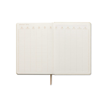 JUMBO BOY DEFTER - LA LUNE