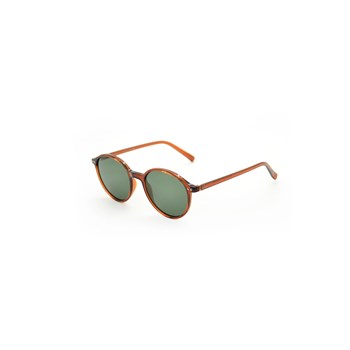 LOOKlight Ashton N-Type Jelly Brown Green