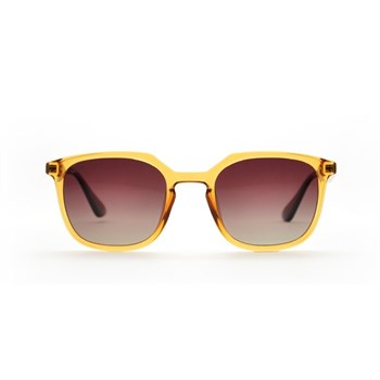 LOOKlight Coffey Daisy Brown Degrade