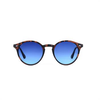 LOOKlight Letoon Matte Chocolate Blue Degrade