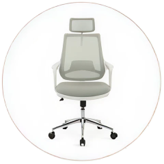 Skagen Plus Yönetici