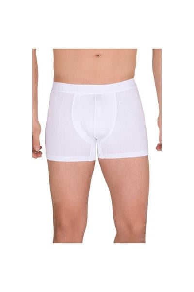 4476 Berrak Boxer
