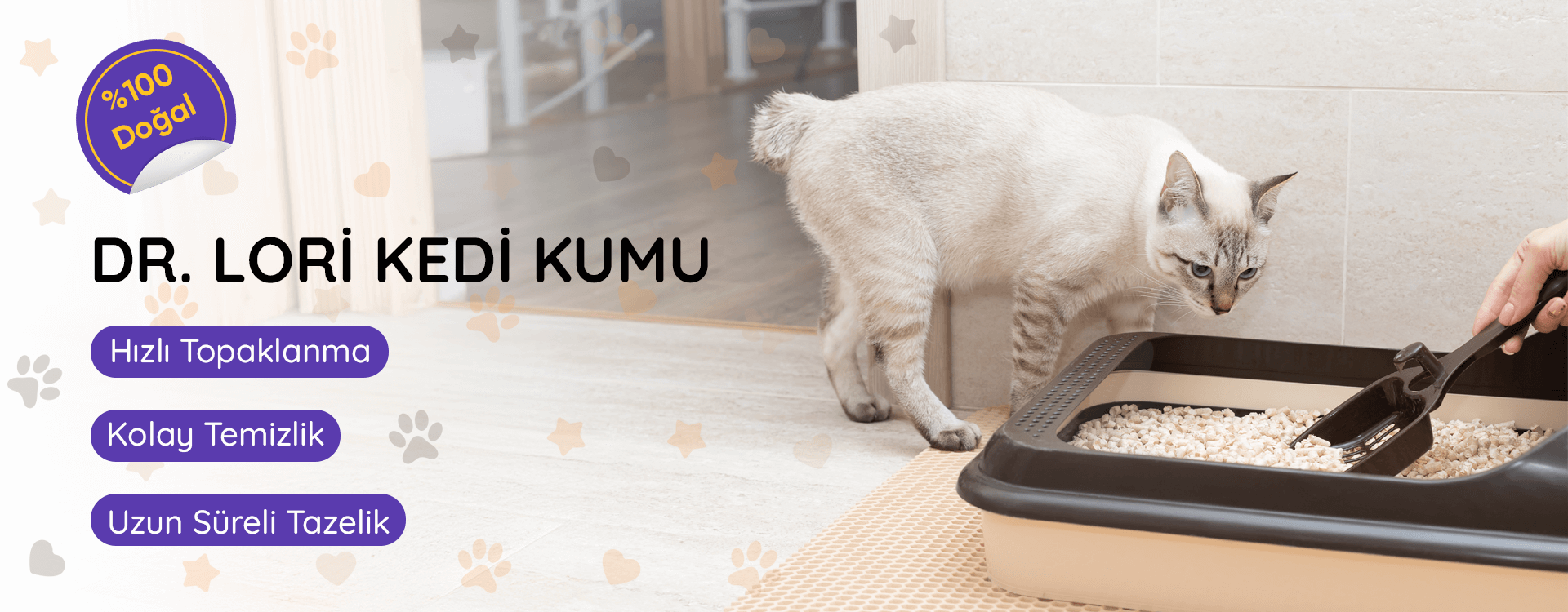 /kedi-kumu