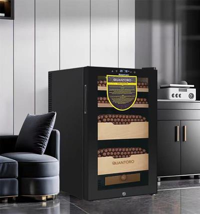 Elektronik Puro Dolabı QCC-8