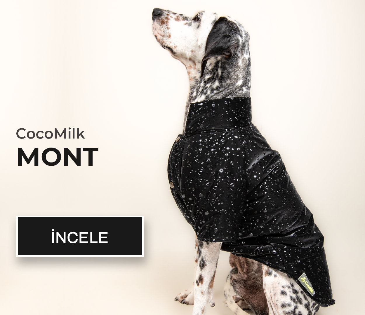 köpek-mont
