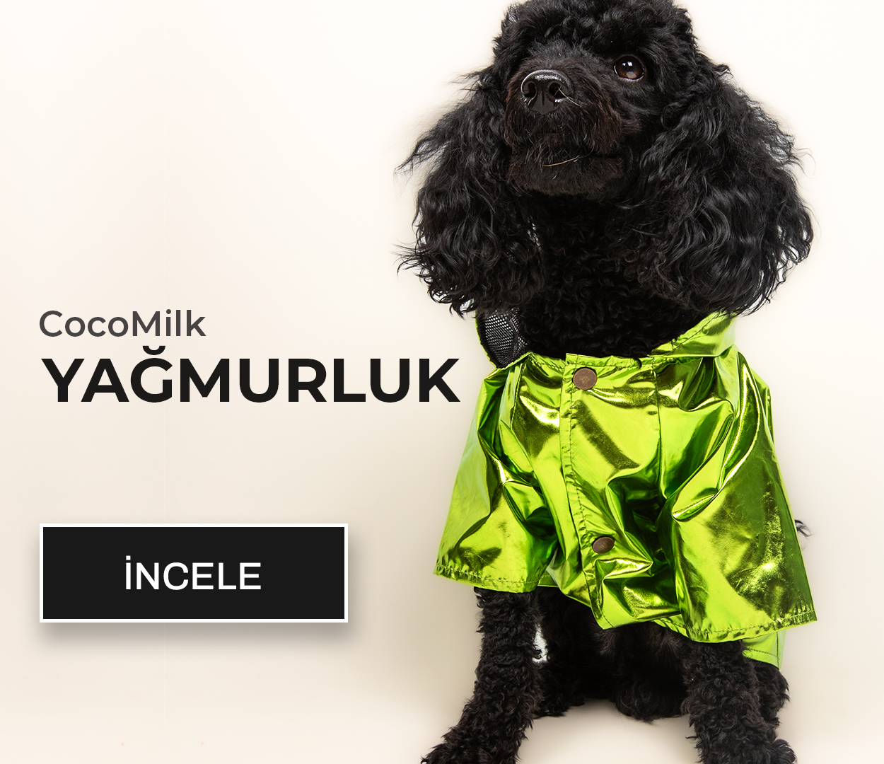 köpek-yağmurluk