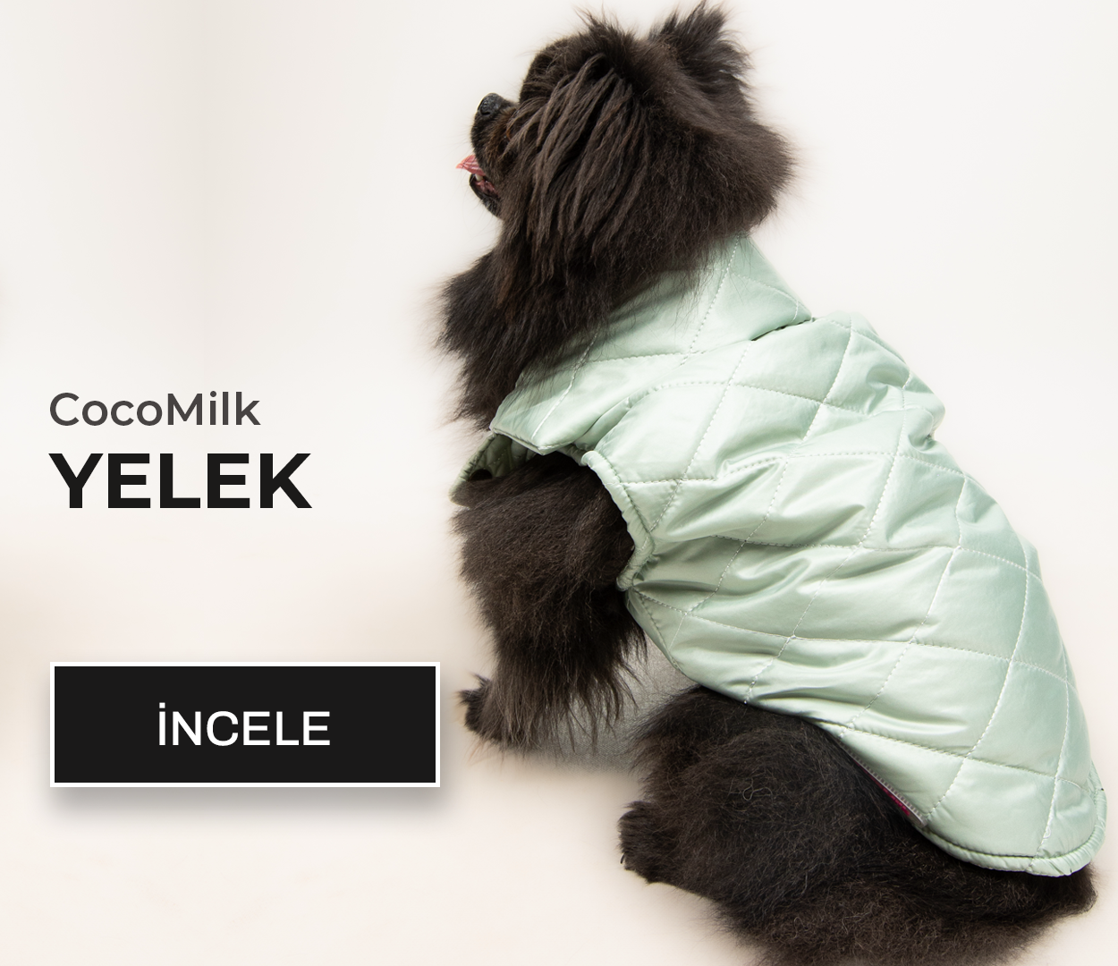 köpek-yelek 