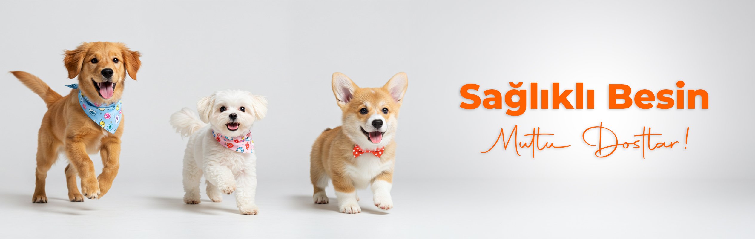 Petburger - En Sağlıklı Çiğ Köpek ve Çiğ Kedi Mama Üreticisi