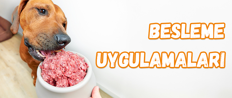 Petburger - Besleme Uygulamaları
