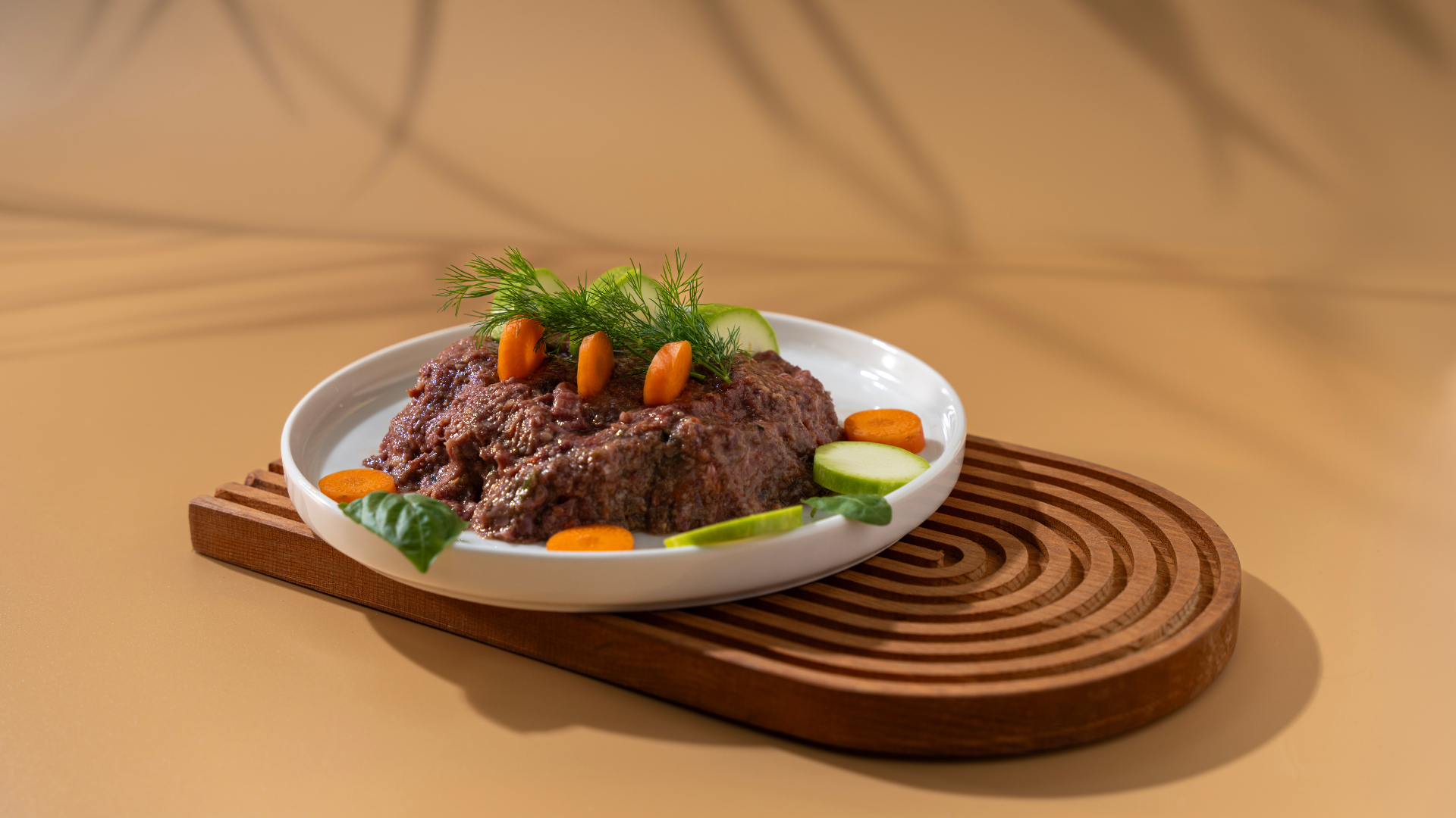 🍽️ Petburger’dan Seçilenler: İlk Kez Mama Deneyenler İçin Öneriler