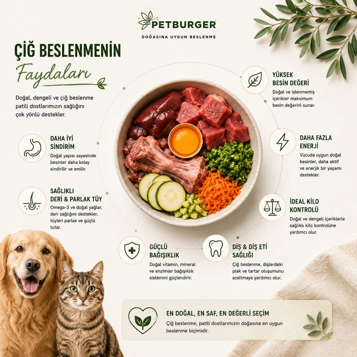 Dogburger Faydaları