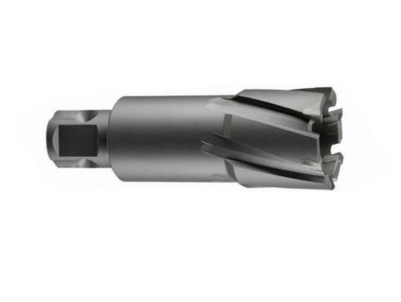 TCT KESİCİ UÇ 27x75 mm