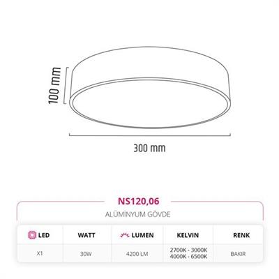 Moda Aydınlatma 30 Cm Sıva Üstü Ledli Tavan Armatürü Bakır MD-S 3042/1-06