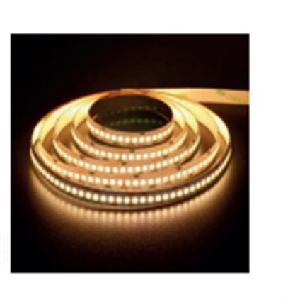 Molled 12 Volt 2835 240 Ledli Şerit Led MOL2528