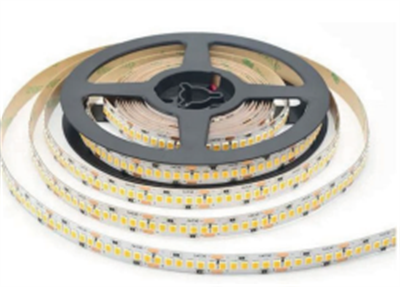 Molled 12 Volt 2835 240 Ledli Şerit Led MOL2528