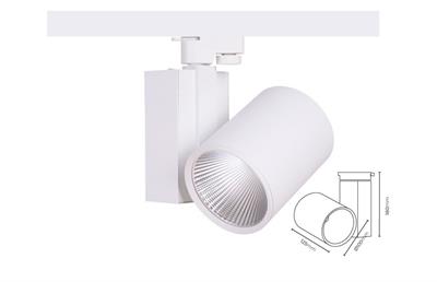 Molled 20W&30W Ledli Ray Spot Armatür MOL2046