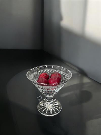 Ayaklı DoDondurmalık Sarmaşık Şeffaf