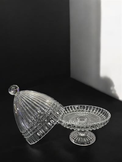 Kapaklı Sunumluk Büyük Boy Çit Şeffaf