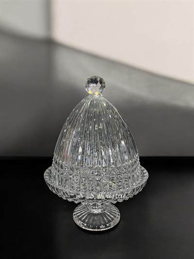 Kapaklı Sunumluk Büyük Boy Çit Şeffaf