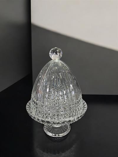 Kapaklı Sunumluk Büyük Boy Çit Şeffaf