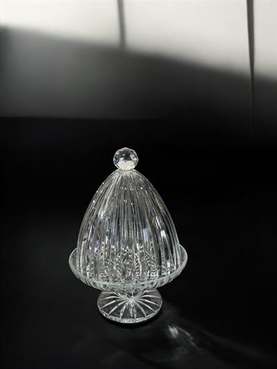 Kapaklı Sunumluk Küçük Boy Dik Kesme Şeffaf