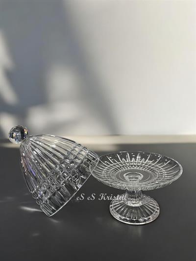 Kapaklı Sunumluk Orta Boy Çit Şeffaf