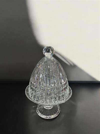 Kapaklı Sunumluk Orta Boy Çit Şeffaf