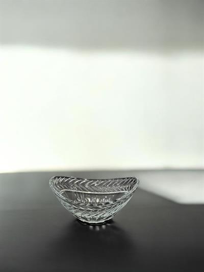 Kayık Kase Sarmaşık Şeffaf