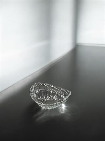 Kayık Kase Sarmaşık Şeffaf