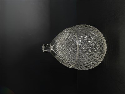 Konik Şekerlik Tarama Şeffaf