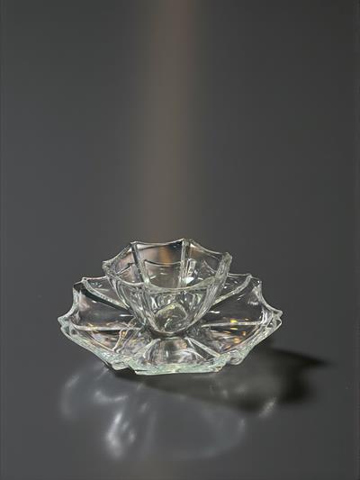 LOTUS KASE SETİ ŞEFFAF (12 PARÇA)