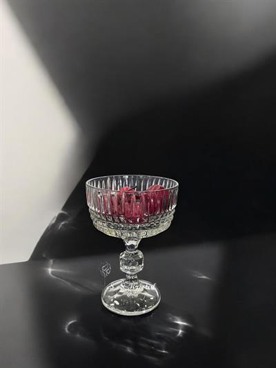 Uzun Ayaklı Dondurmalık Çit Şeffaf