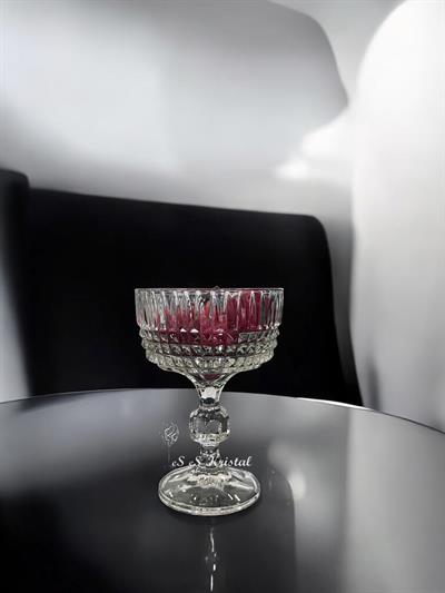 Uzun Ayaklı Dondurmalık Çit Şeffaf